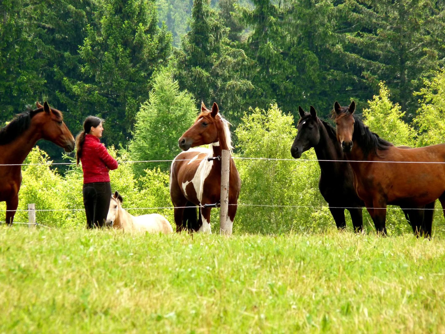 Reitplatz Pod Vrškama