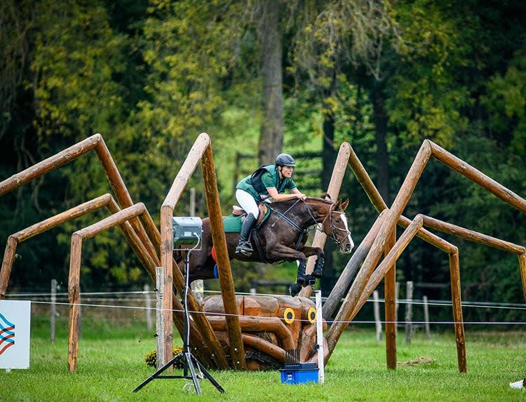 Pferdetraining vom Boden aus